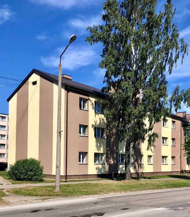 Majigs Dzivoklis Salacgrīva Extérieur photo